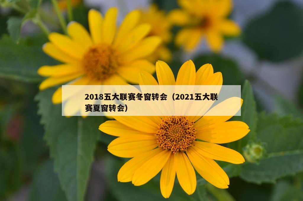 2018五大联赛冬窗转会（2021五大联赛夏窗转会）