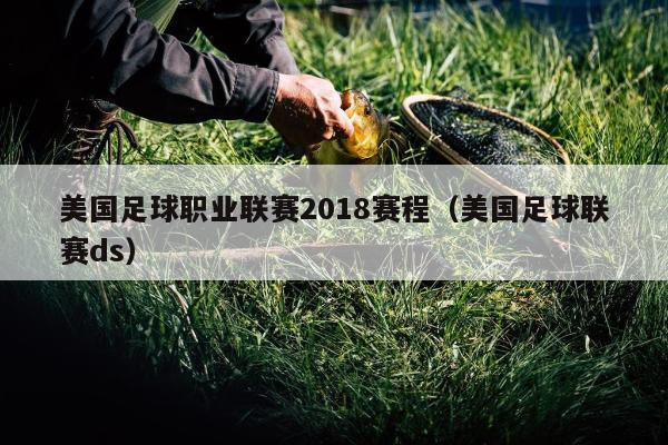 美国足球职业联赛2018赛程（美国足球联赛ds）