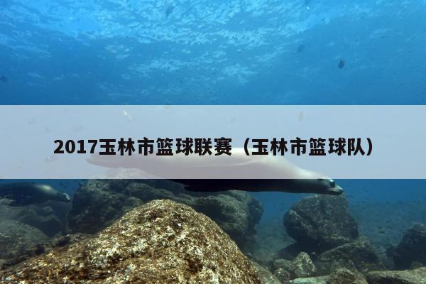 2017玉林市篮球联赛（玉林市篮球队）