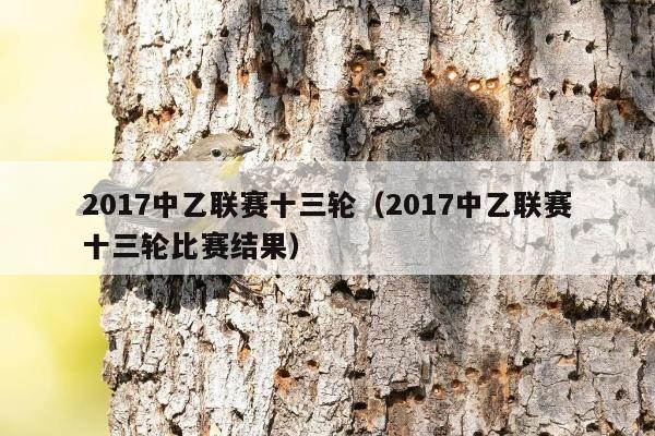 2017中乙联赛十三轮（2017中乙联赛十三轮比赛结果）