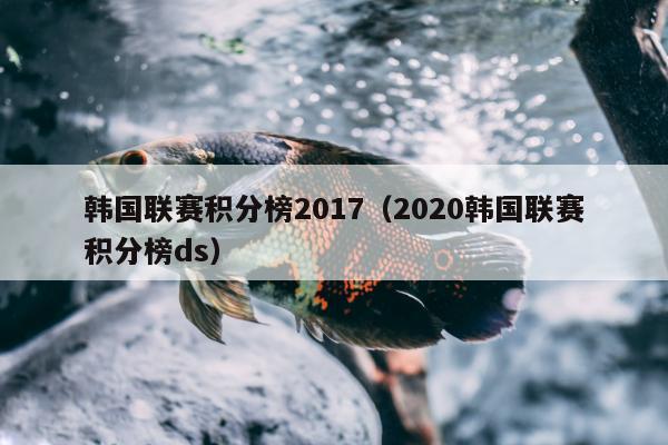 韩国联赛积分榜2017（2020韩国联赛积分榜ds）