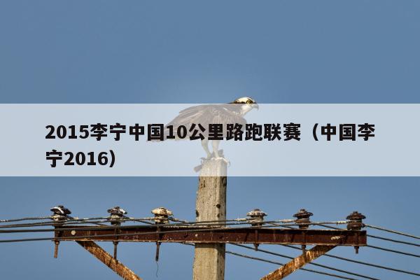 2015李宁中国10公里路跑联赛（中国李宁2016）