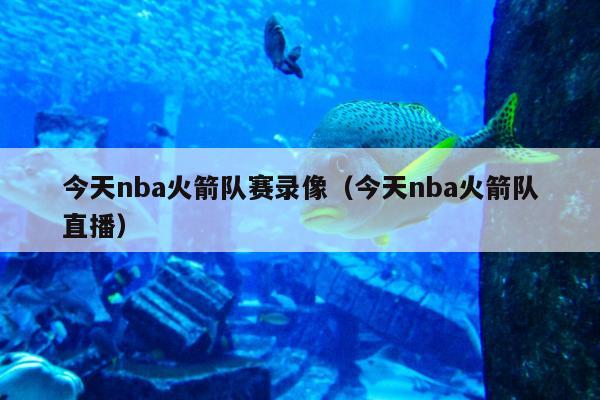 今天nba火箭队赛录像（今天nba火箭队直播）