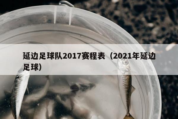 延边足球队2017赛程表（2021年延边足球）