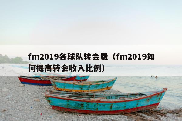 fm2019各球队转会费（fm2019如何提高转会收入比例）