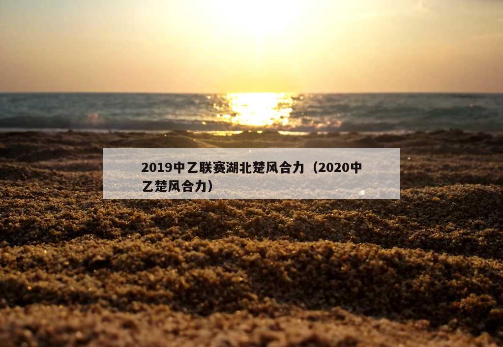 2019中乙联赛湖北楚风合力（2020中乙楚风合力）