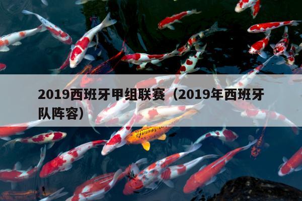 2019西班牙甲组联赛（2019年西班牙队阵容）