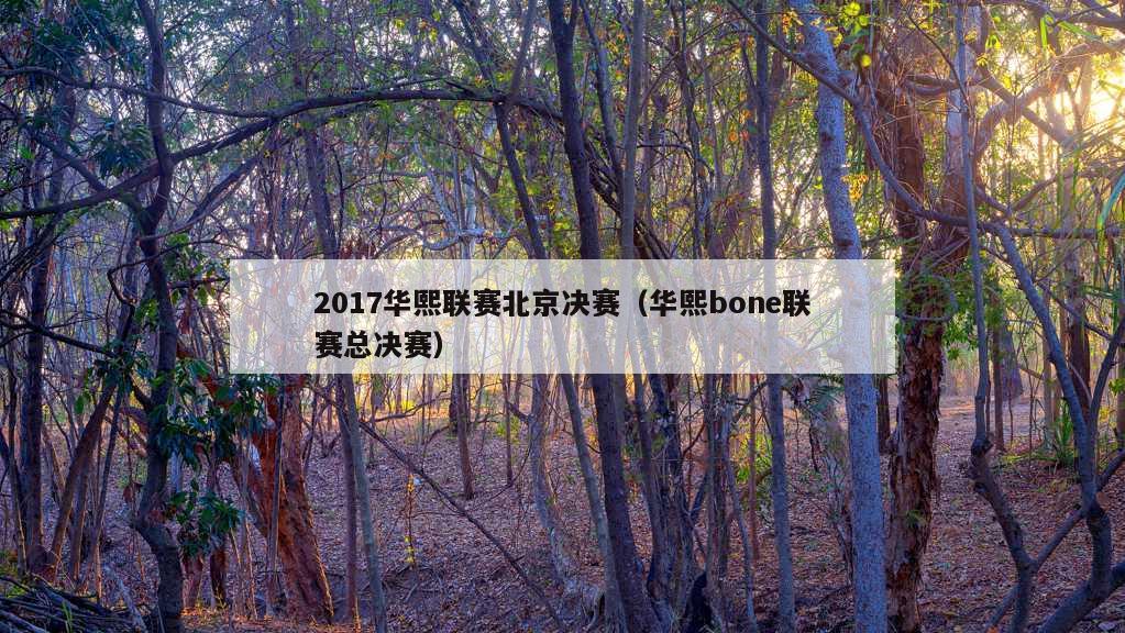 2017华熙联赛北京决赛（华熙bone联赛总决赛）