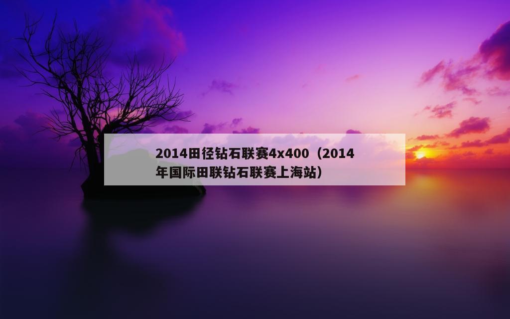 2014田径钻石联赛4x400（2014年国际田联钻石联赛上海站）
