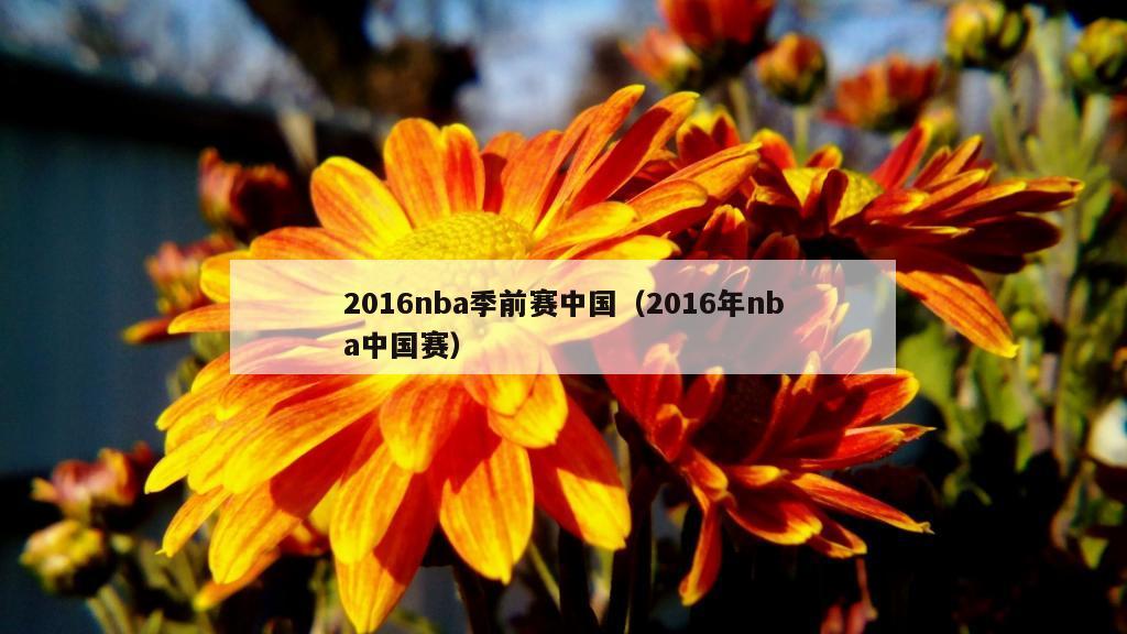 2016nba季前赛中国（2016年nba中国赛）