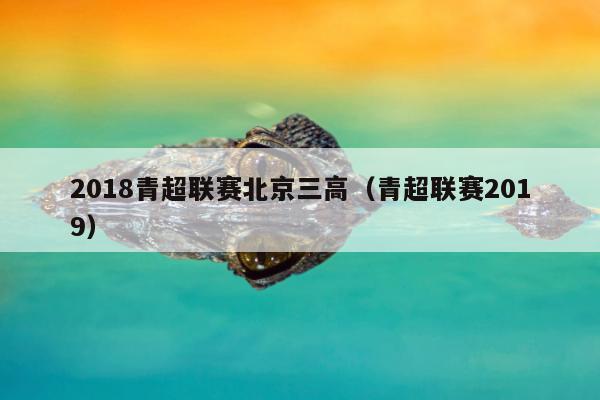 2018青超联赛北京三高（青超联赛2019）