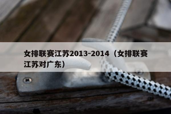女排联赛江苏2013-2014（女排联赛江苏对广东）