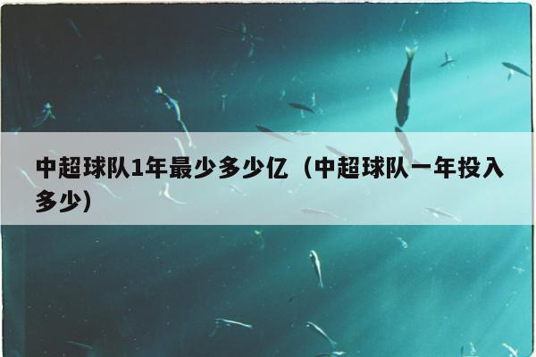 中超球队1年最少多少亿（中超球队一年投入多少）