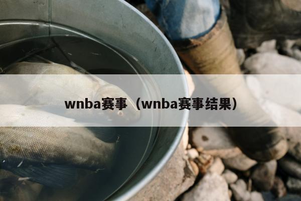 wnba赛事（wnba赛事结果）