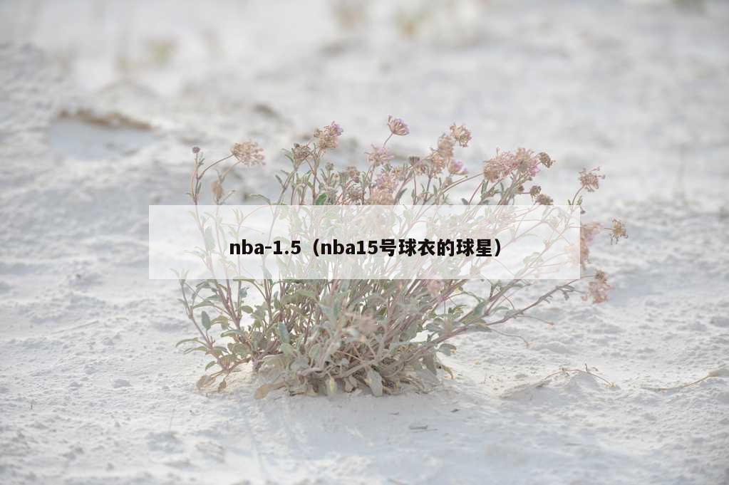 nba-1.5（nba15号球衣的球星）