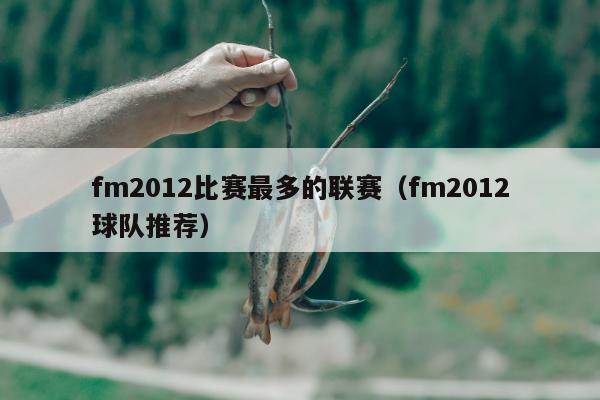 fm2012比赛最多的联赛（fm2012球队推荐）