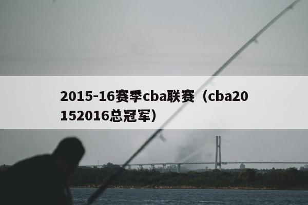 2015-16赛季cba联赛（cba20152016总冠军）