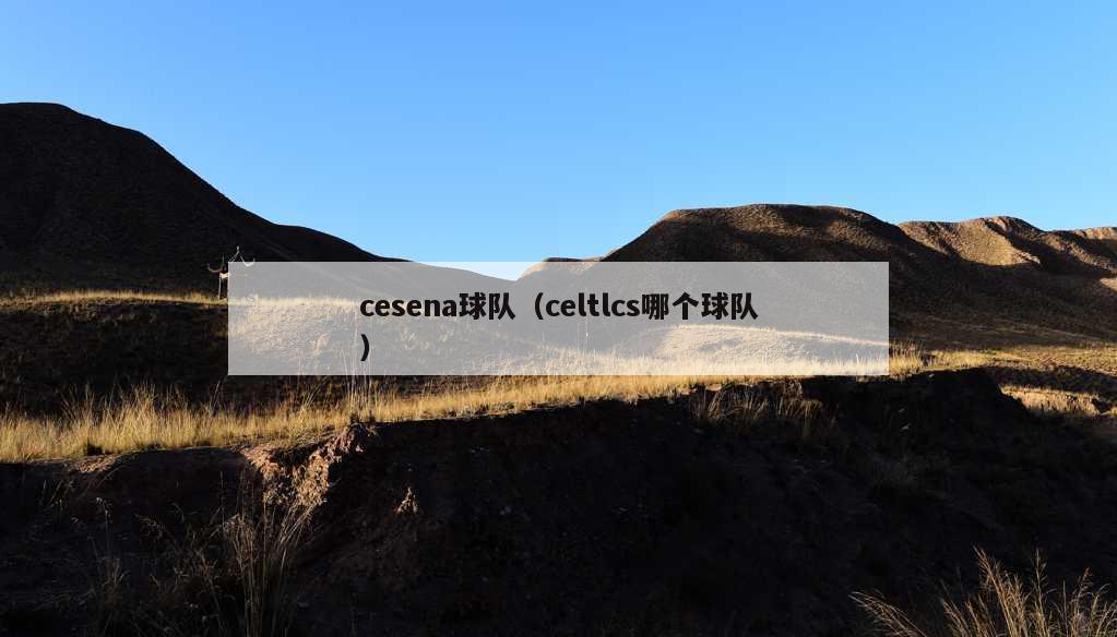 cesena球队（celtlcs哪个球队）