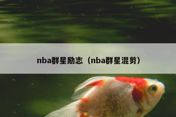 nba群星励志（nba群星混剪）