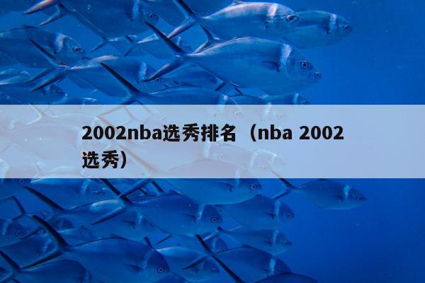 2002nba选秀排名（nba 2002选秀）