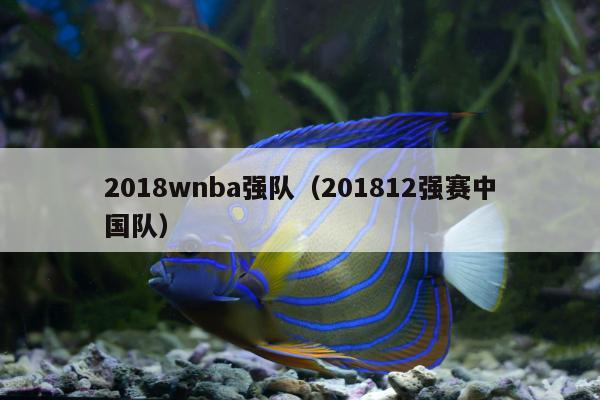 2018wnba强队（201812强赛中国队）