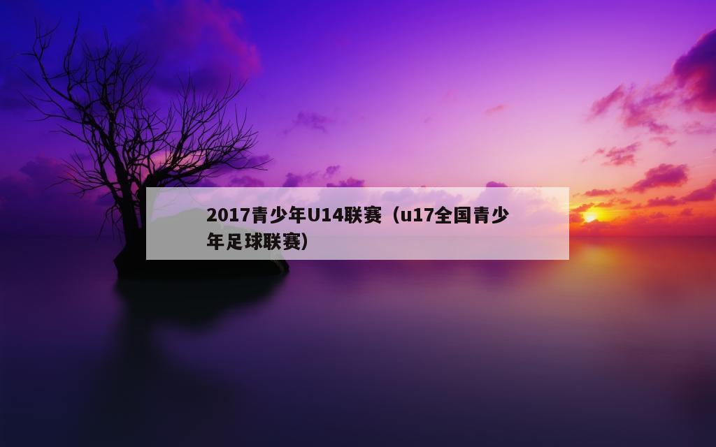 2017青少年U14联赛（u17全国青少年足球联赛）