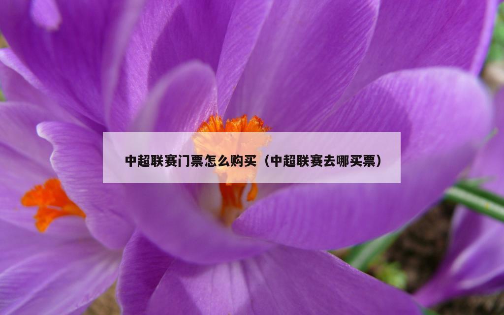 中超联赛门票怎么购买（中超联赛去哪买票）