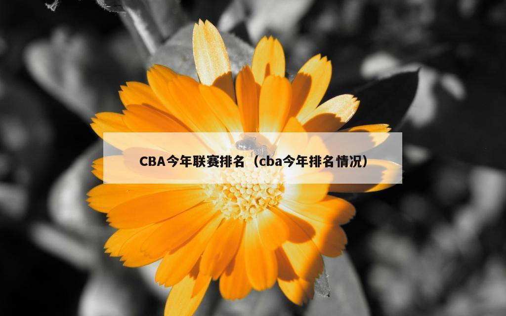 CBA今年联赛排名（cba今年排名情况）