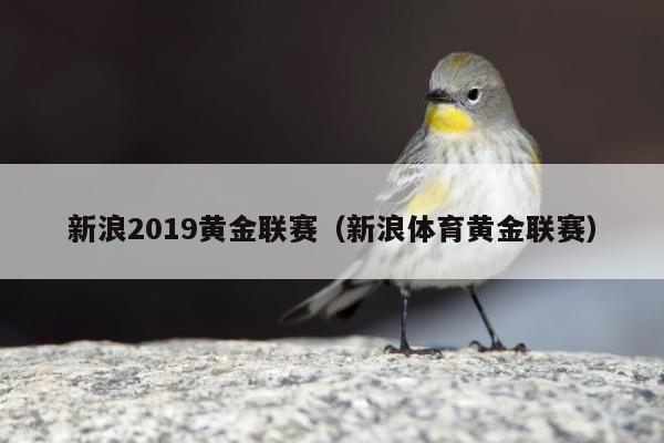 新浪2019黄金联赛（新浪体育黄金联赛）