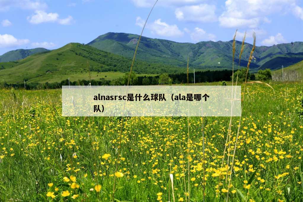 alnasrsc是什么球队（ala是哪个队）