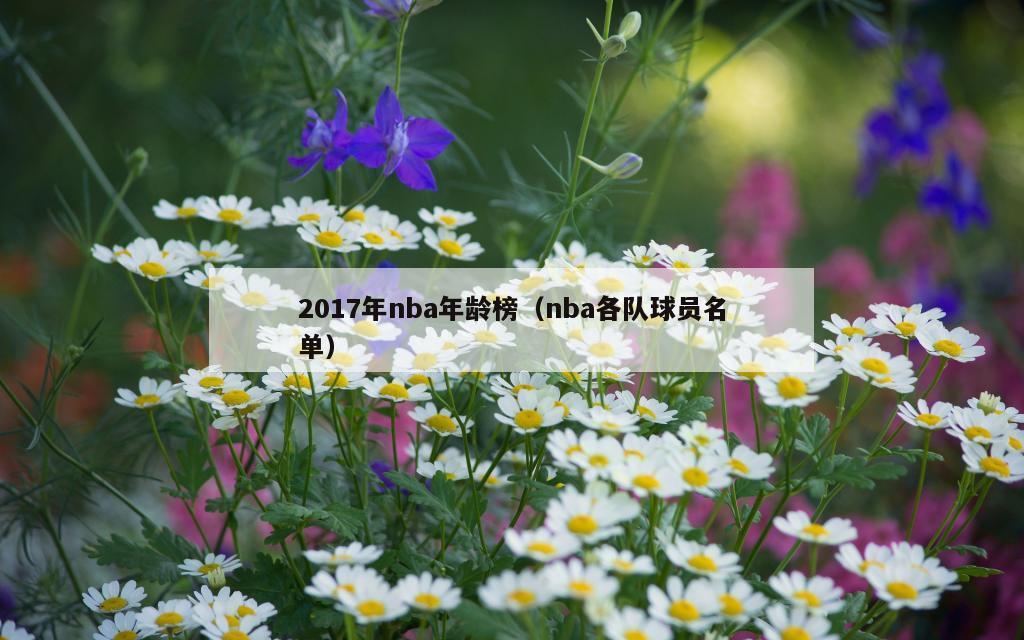 2017年nba年龄榜（nba各队球员名单）