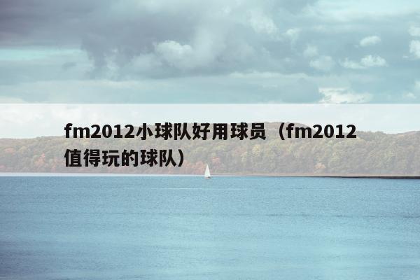 fm2012小球队好用球员（fm2012值得玩的球队）