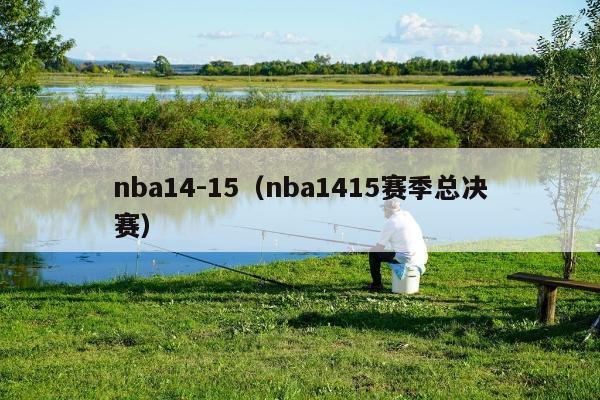 nba14-15（nba1415赛季总决赛）