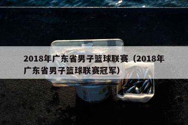 2018年广东省男子篮球联赛（2018年广东省男子篮球联赛冠军）