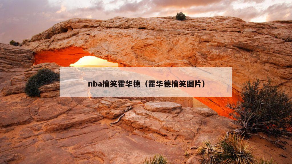 nba搞笑霍华德（霍华德搞笑图片）