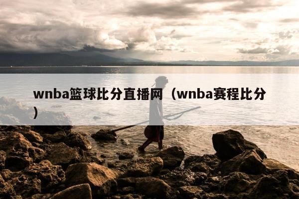 wnba篮球比分直播网（wnba赛程比分）