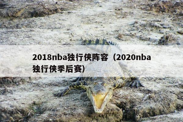 2018nba独行侠阵容（2020nba独行侠季后赛）
