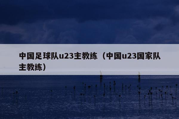 中国足球队u23主教练（中国u23国家队主教练）