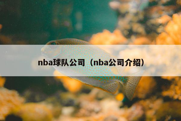 nba球队公司（nba公司介绍）