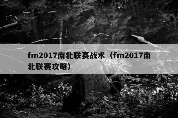 fm2017南北联赛战术（fm2017南北联赛攻略）