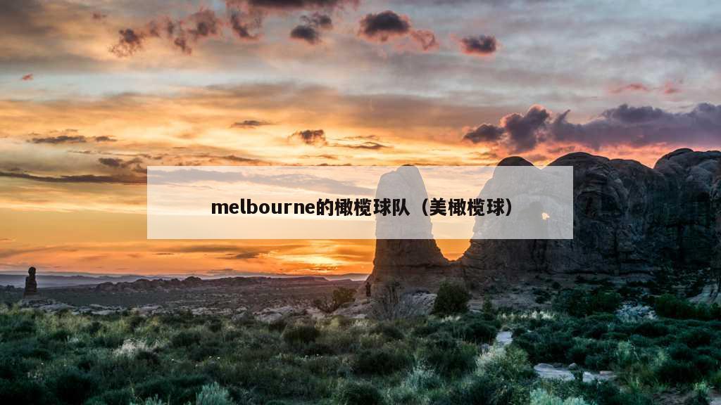 melbourne的橄榄球队（美橄榄球）