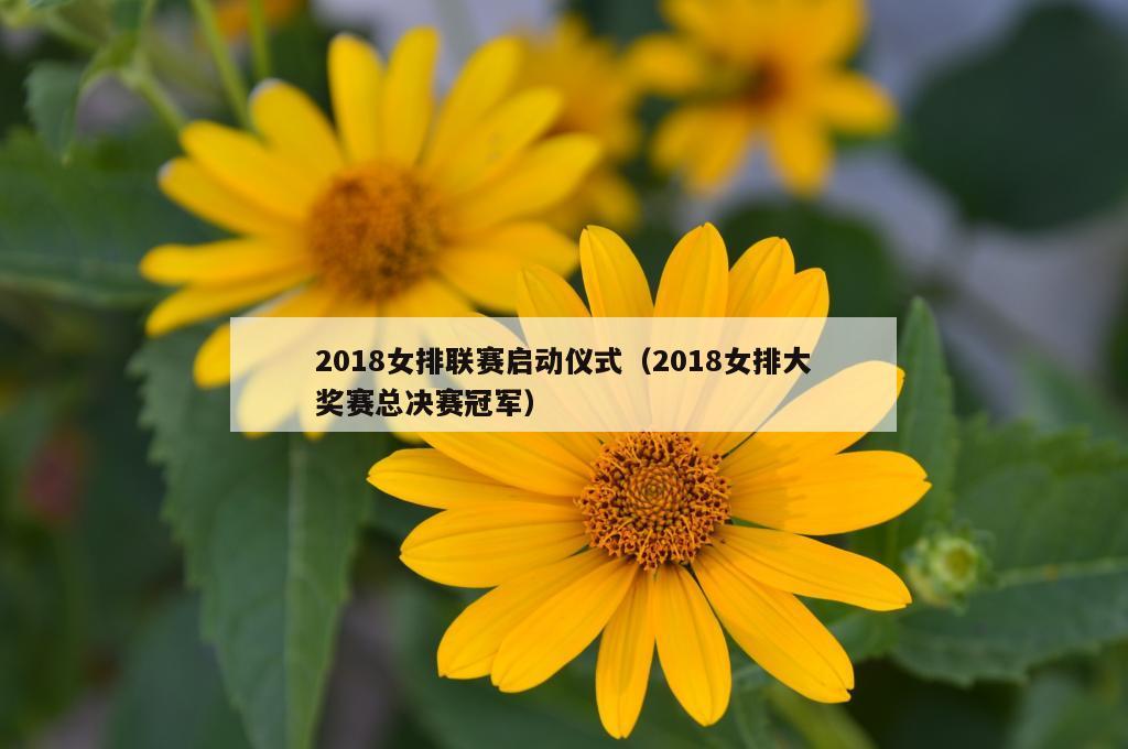 2018女排联赛启动仪式（2018女排大奖赛总决赛冠军）