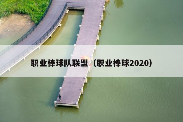 职业棒球队联盟（职业棒球2020）