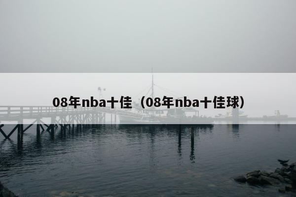 08年nba十佳（08年nba十佳球）