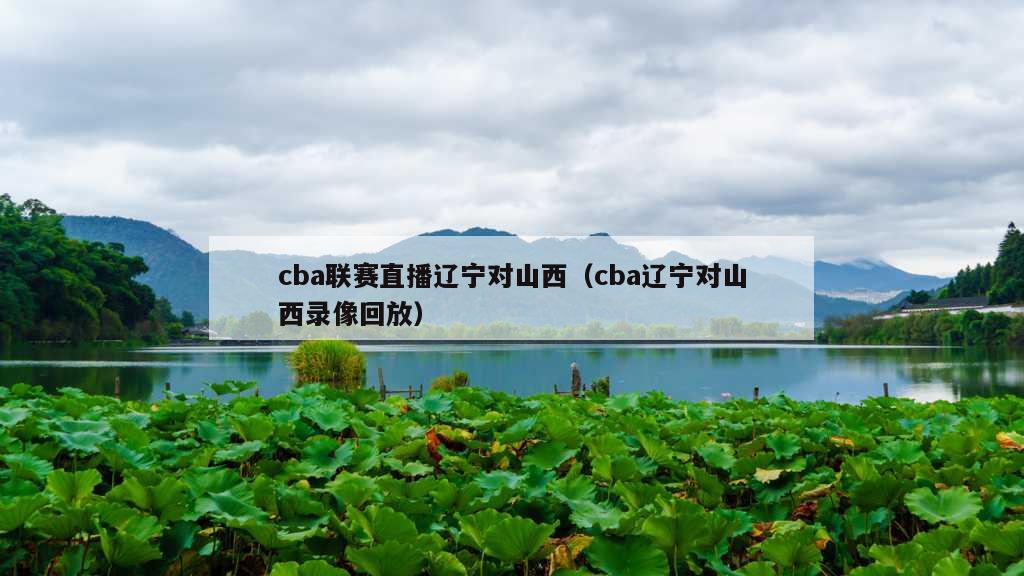 cba联赛直播辽宁对山西（cba辽宁对山西录像回放）