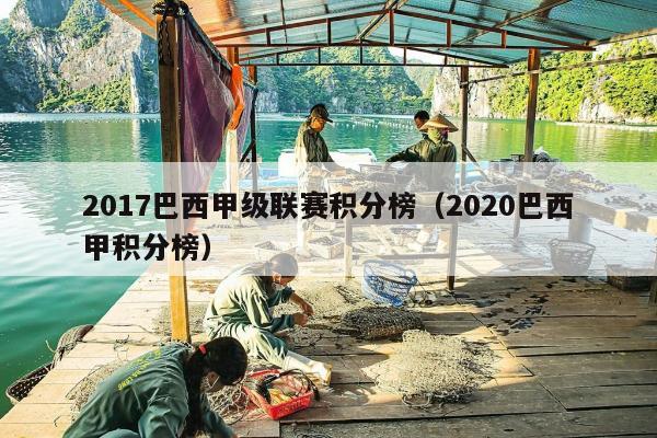 2017巴西甲级联赛积分榜（2020巴西甲积分榜）