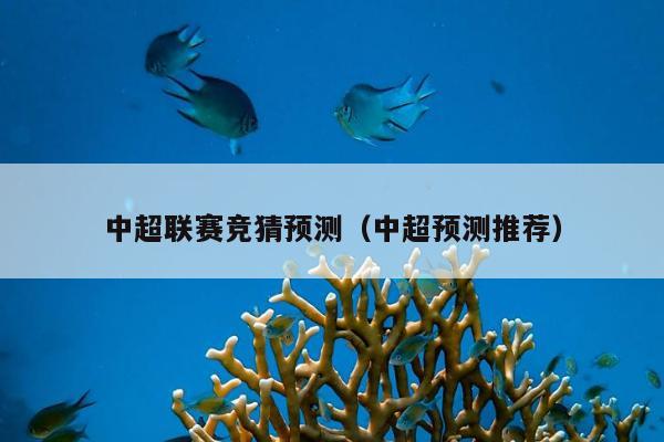 中超联赛竞猜预测（中超预测推荐）