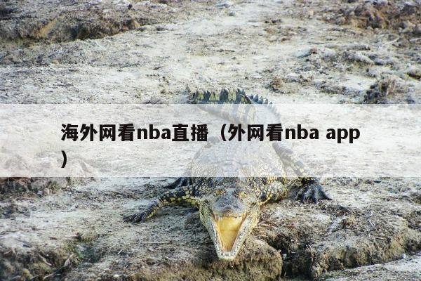 海外网看nba直播（外网看nba app）