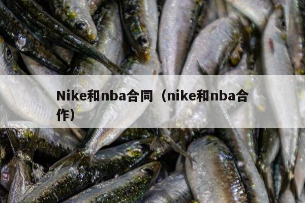 Nike和nba合同（nike和nba合作）