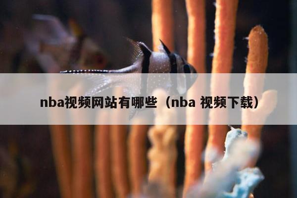 nba视频网站有哪些（nba 视频下载）